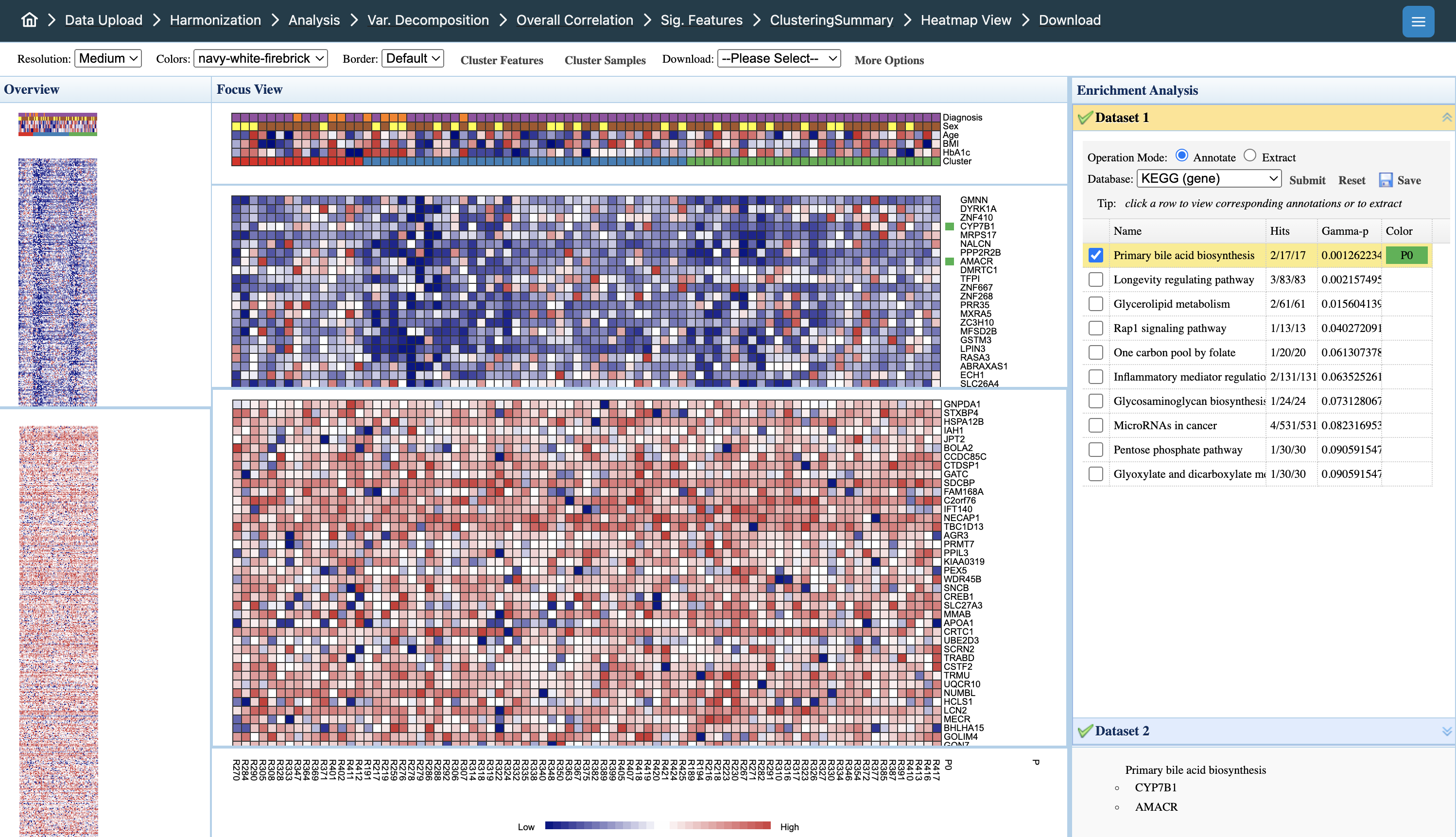 Clustering Heatmap