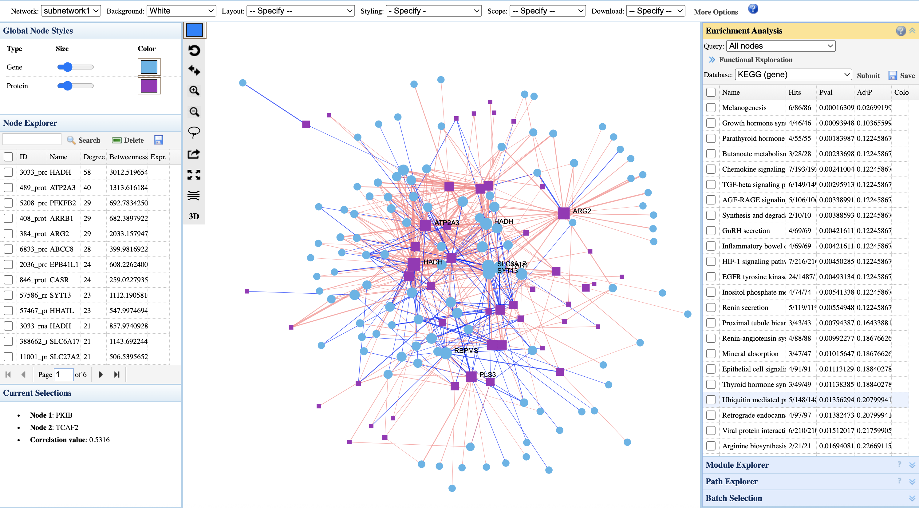 Correlation Network